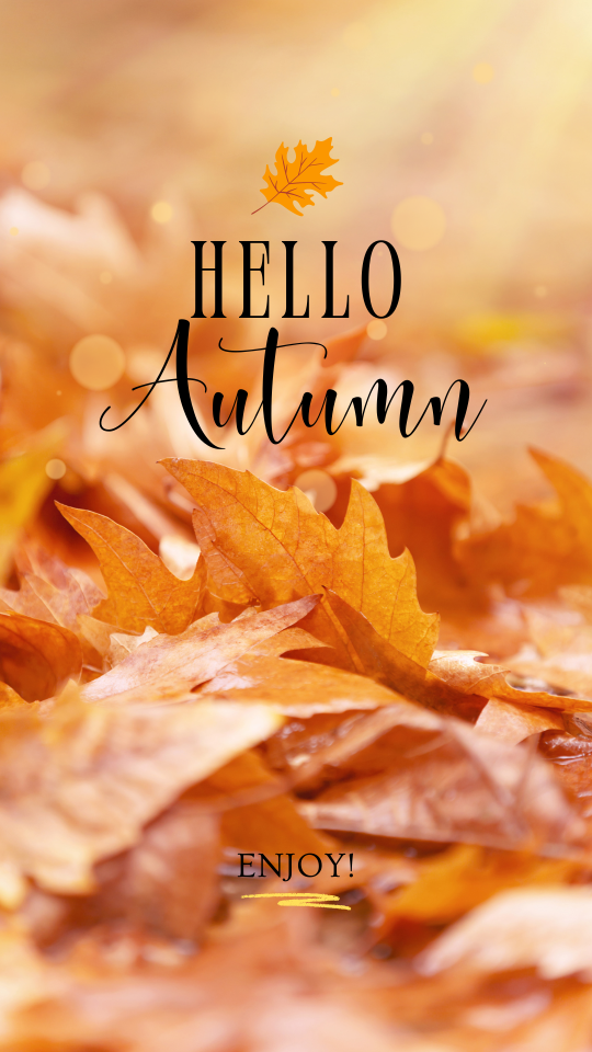 Orange aesthetic photo hello autumn instagram story 20240922 130126 0000